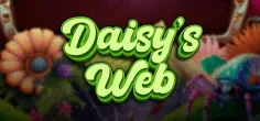 Daisys Web