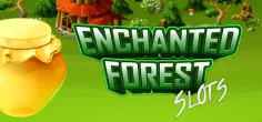 Enchanted Forest