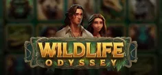 Wildlife Odyssey