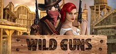 Wild Guns