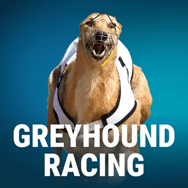 Greyhound Racing
