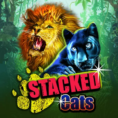 Stacked Cats