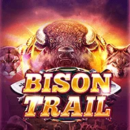 Bison Trail