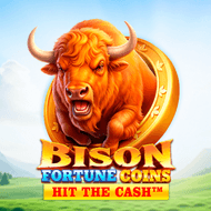 Bison Fortune Coins