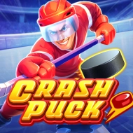 Crash Puck